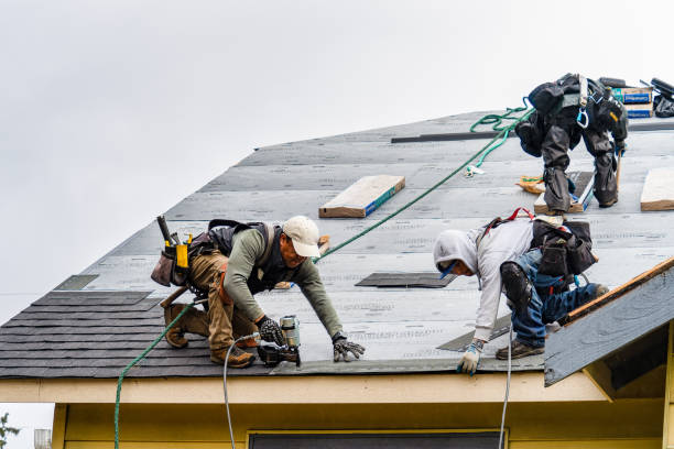 Professional Emergency Roof Repair technician working in Romayor, TX